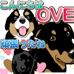 わんこ日和 いろんな犬種