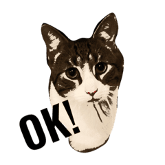Https Encrypted Tbn0 Gstatic Com Images Q Tbn 3aand9gcto0y4x6nbcbyfxpsoaraa7avbxbwvjrnsz5q Usqp Cau