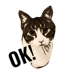 Daily Funny Cat Sticker