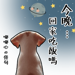 范嘟嘟與范美美來摟！
