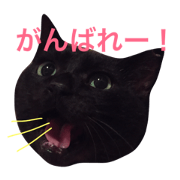 ogip 9cat