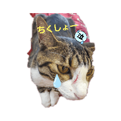 himawari_20210906184857