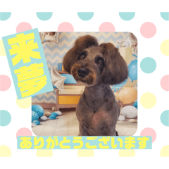 HappyBathPepのお友達C