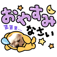 RiNa_20210908161721
