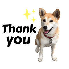 kokoko_20210908224124