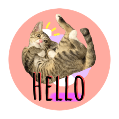 Mimimimi:)