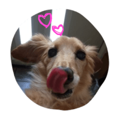 miniature ducks.byChero