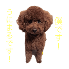 rei_20210908233541