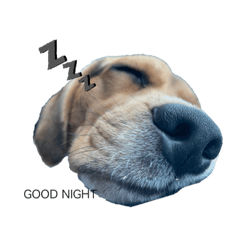 miyuu_20210907102056