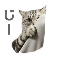 Saya_20210907135331