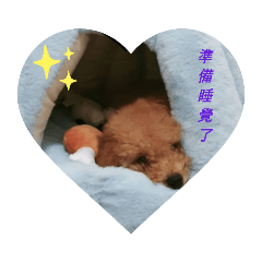 可愛又調皮的球球