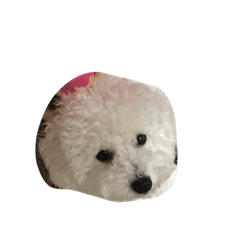 chi_