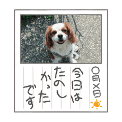 Orange_20210907054009