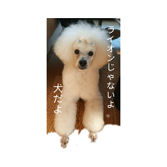 AKIKO_20210909161454