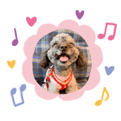 cocoa_20210909133848