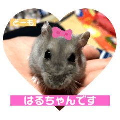 Natsumi_20210907152458