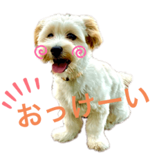yun_20210909021548
