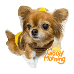 yukari_20210909190159