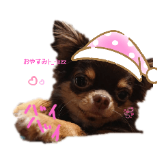 miyuu_20210907140636