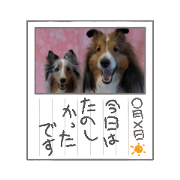Masayasu Onda_20210909183232