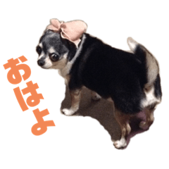 mamekina.ver2