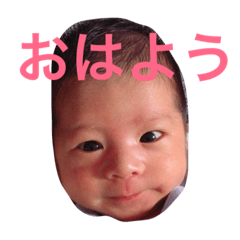 syokun