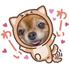 yukari_20210909204806