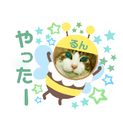 shizu_20210909205706