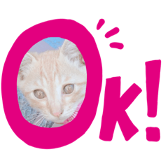 にゃんこスタンプ❤