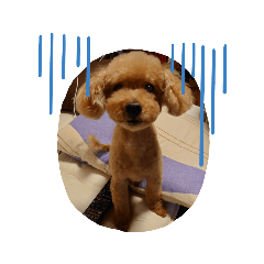 akiko gomi_20210907175303