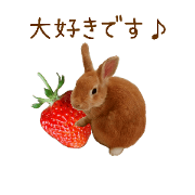 *usagi no usachan* part4