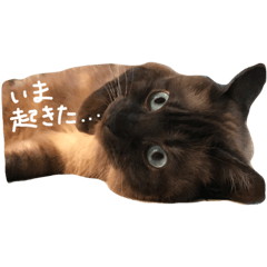 hananyanco