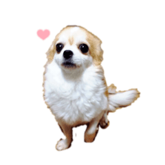 ayumi_20210907205318