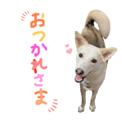 Chihiro_20210910002433