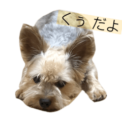 Kuu_20210910084805