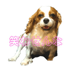 omochi_20210907233124