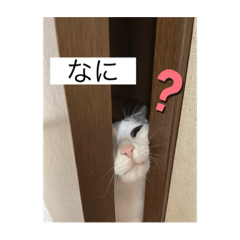 yuka_20210907233434
