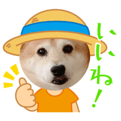 kaori_20210908002528