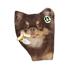 miyuu_20210910104615