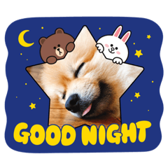 ponta_20210908073318