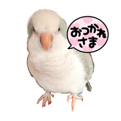 MIKI_20210908093244