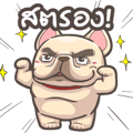 French Bulldog PIGU-Animated Sticker XI