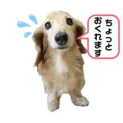 Hana_20210908120754