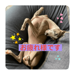 ayumi_20210908165516