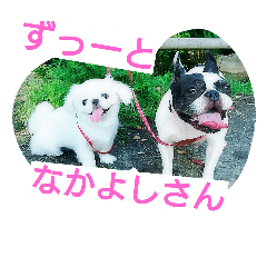 wagayano mofumofu's dogs