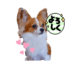 rina_puni