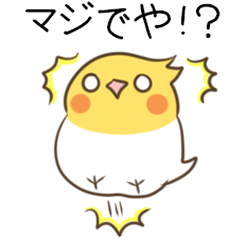 Parakeet&Corgi of Miyazaki dialect 2