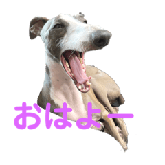 ayumi_20210908125307