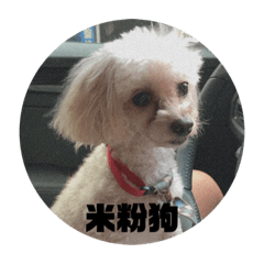 謝董日常對話內容