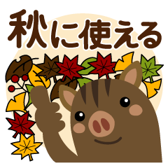 Autumn of boar